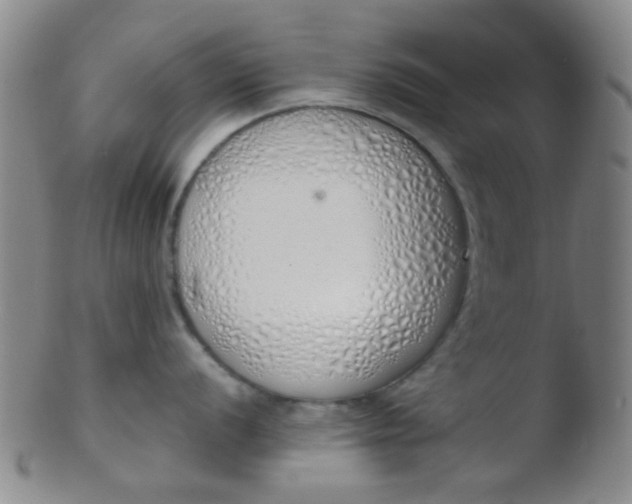 X0000103501056200809262009