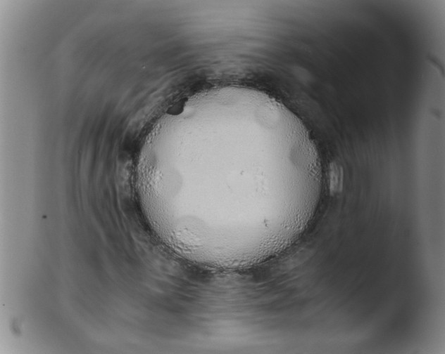 X0000103501059200809262008