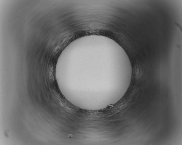 X0000103501060200809262008