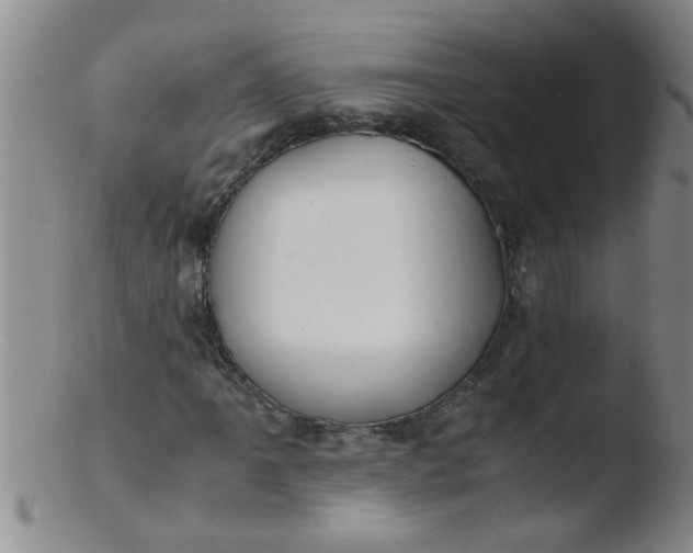 X0000103501061200809262008