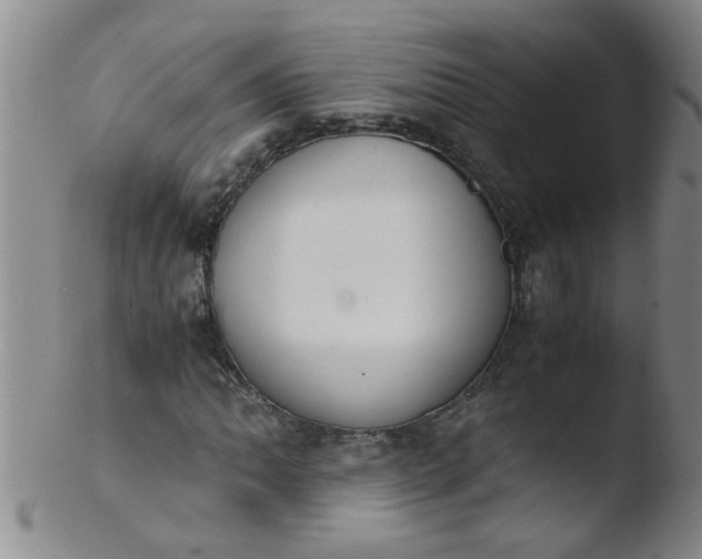 X0000103501062200809262008