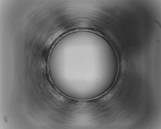 X0000103501065200809262008