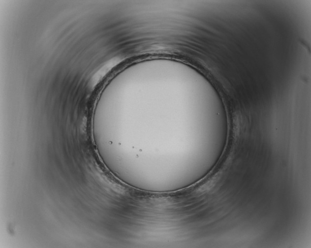 X0000103501066200809262008