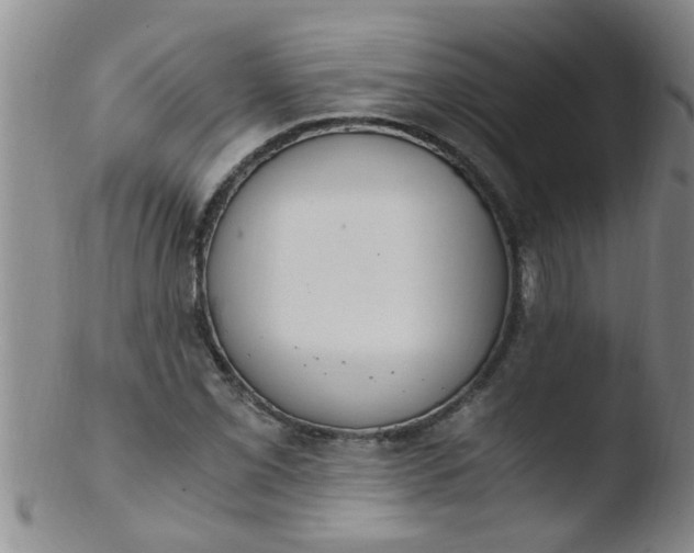 X0000103501069200809262008