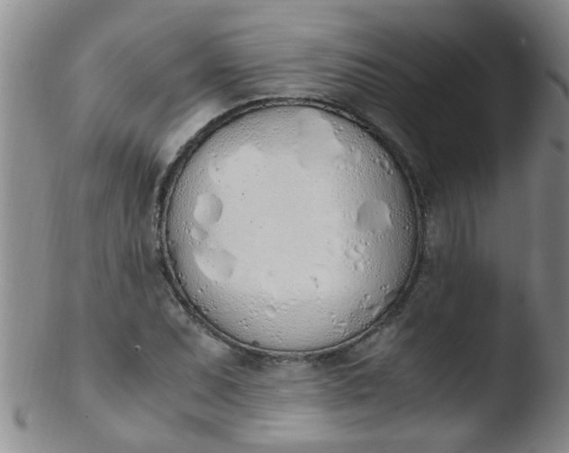 X0000103501071200809262008