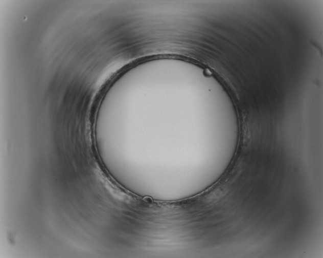 X0000103501072200809262008