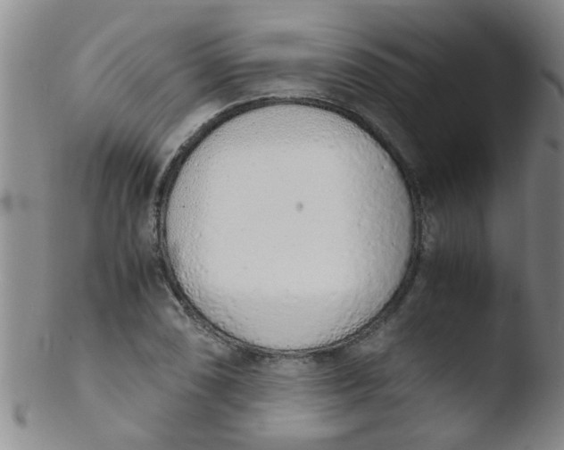 X0000103501074200809262008