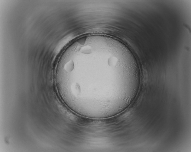 X0000103501075200809262008