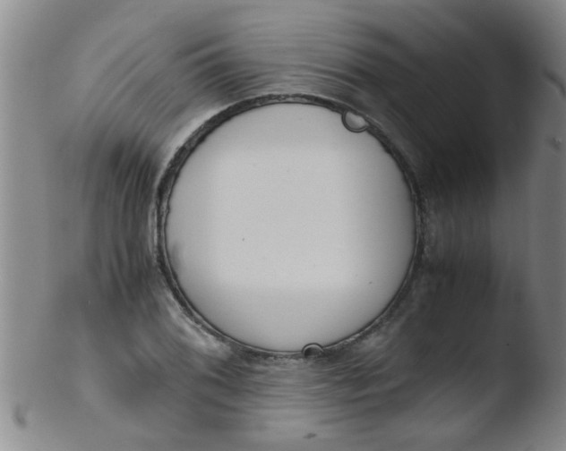 X0000103501076200809262008