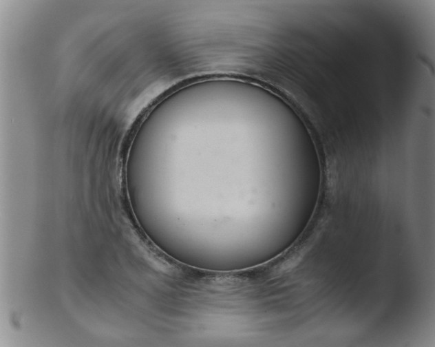 X0000103501077200809262008