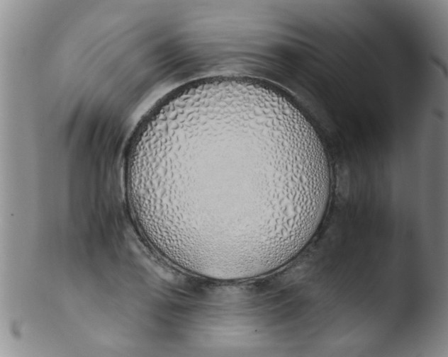 X0000103501078200809262008