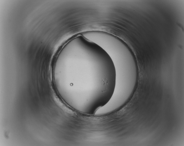 X0000103501080200809262008