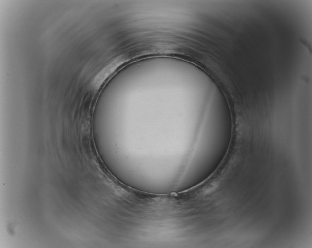 X0000103501081200809262008