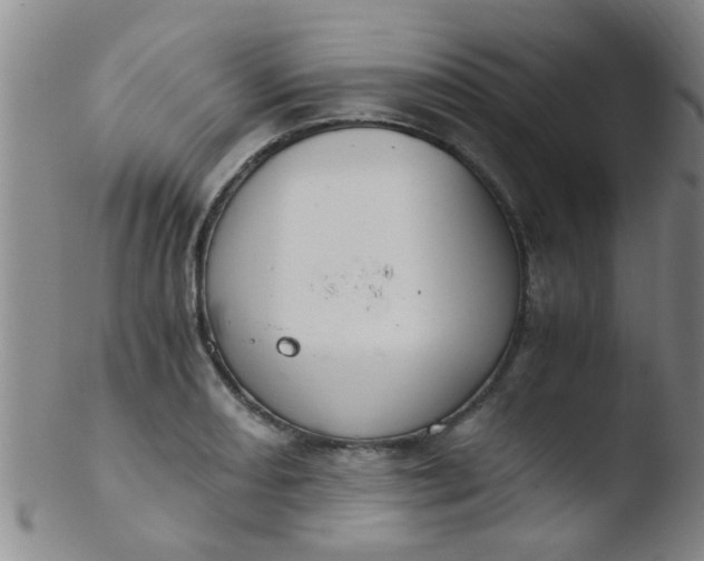 X0000103501082200809262008