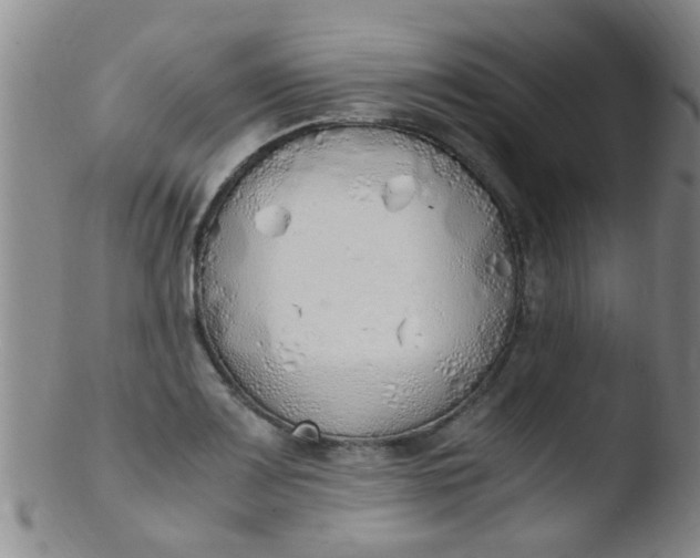 X0000103501083200809262008