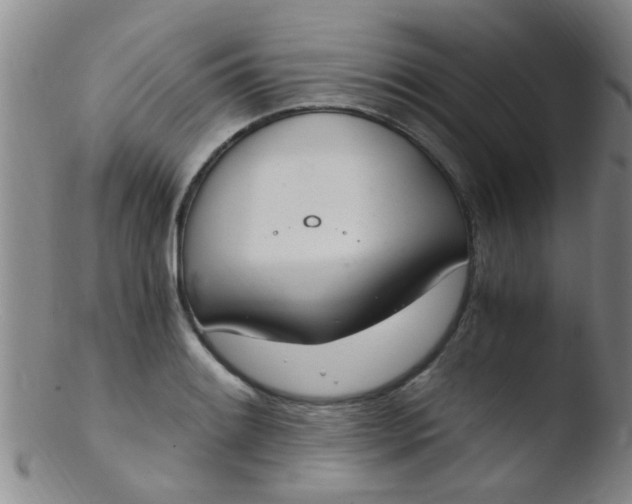 X0000103501084200809262008