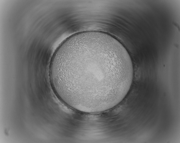 X0000103501086200809262008