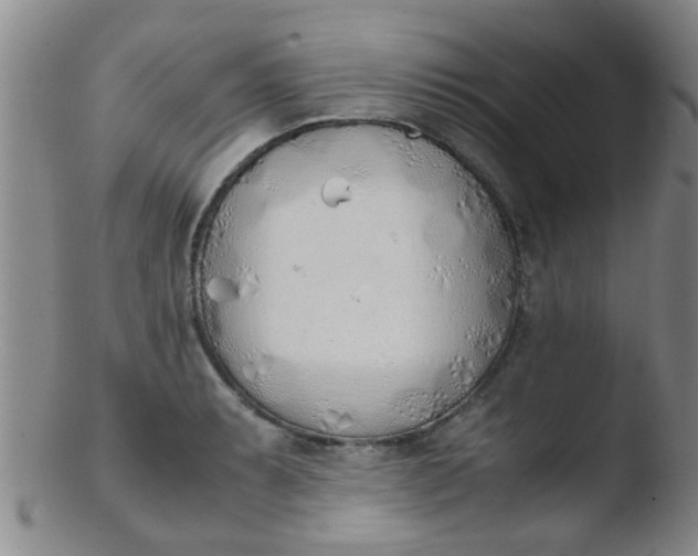 X0000103501087200809262008