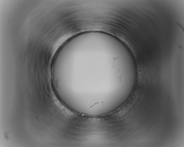 X0000103501088200809262008