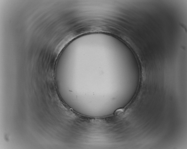 X0000103501089200809262008