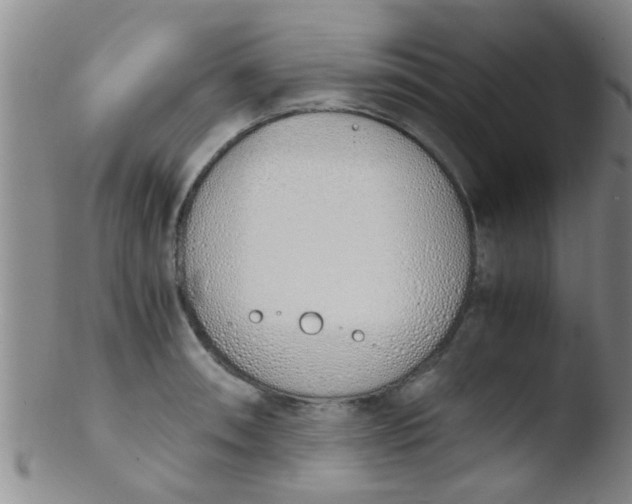 X0000103501090200809262008