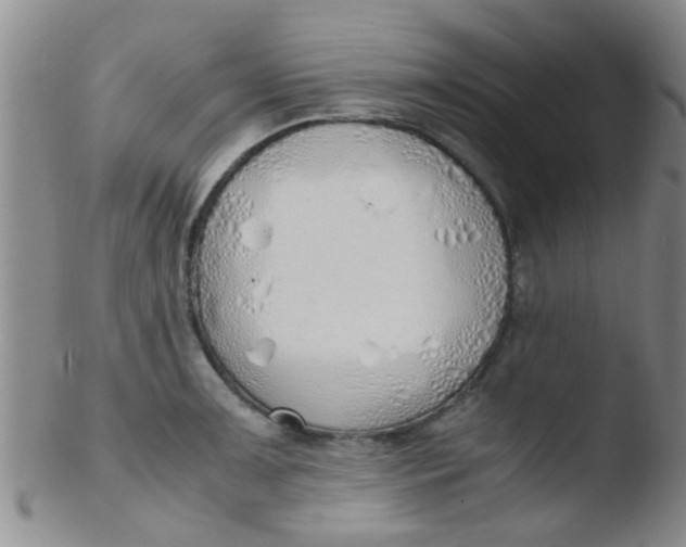 X0000103501091200809262008