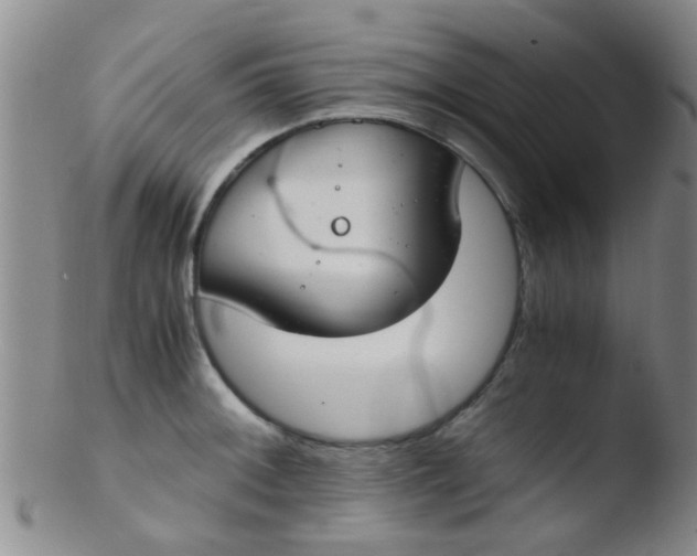 X0000103501092200809262008