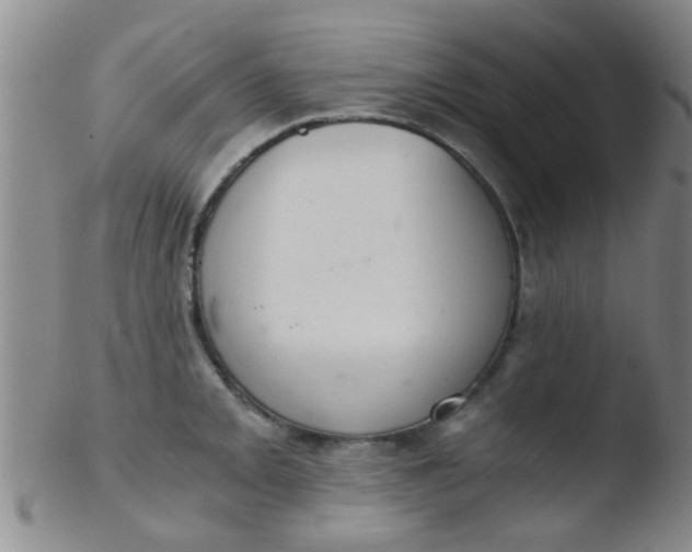 X0000103501093200809262008