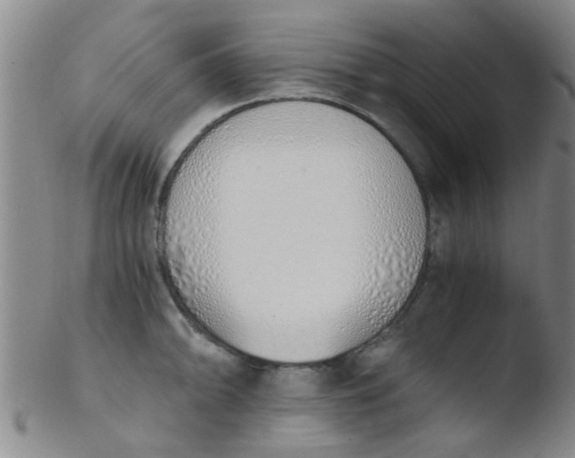 X0000103501094200809262008