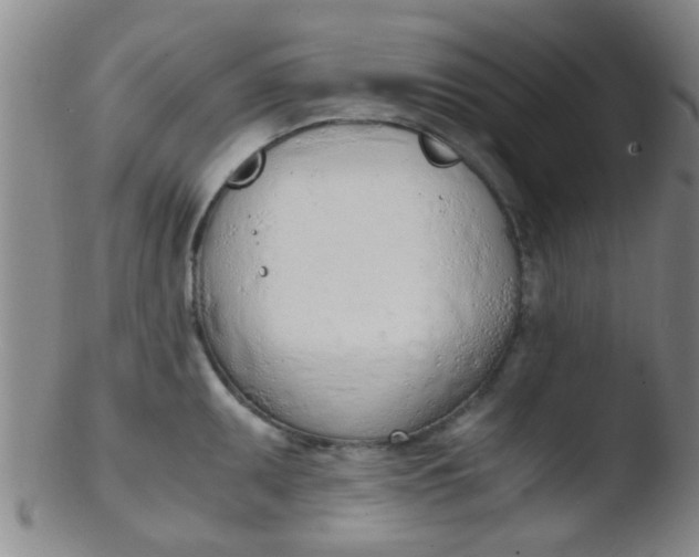 X0000103501095200809262008