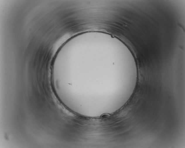 X0000103501096200809262008