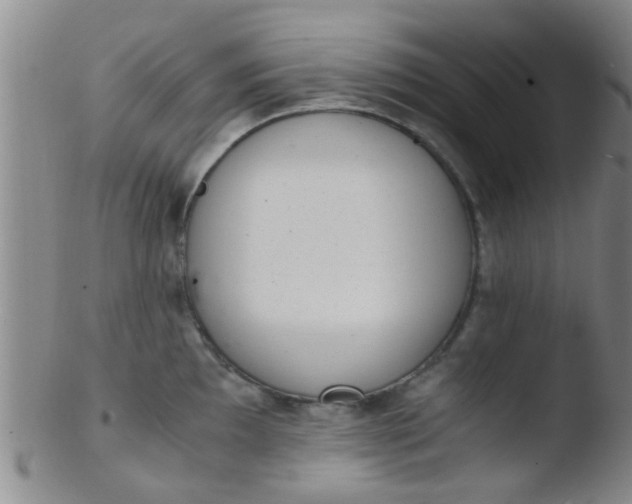 X0000103501097200809262008