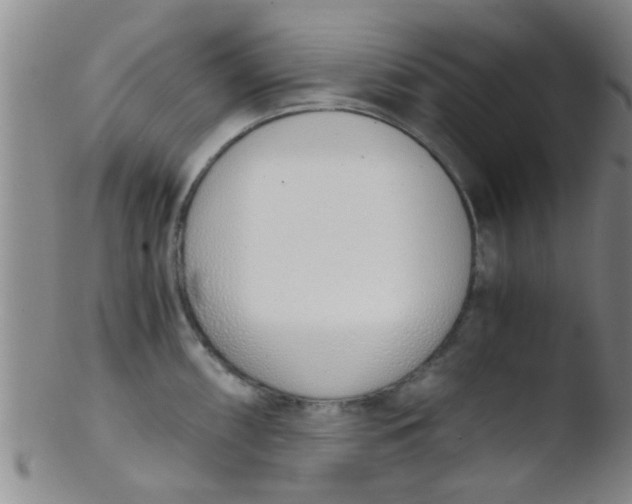 X0000103501098200809262008