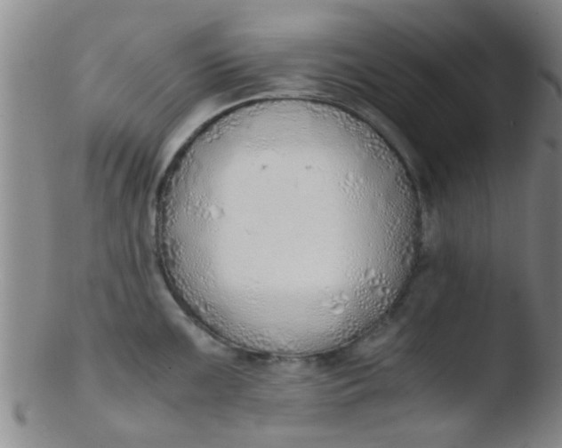 X0000103501099200809262008