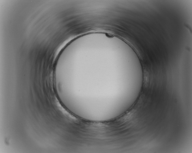 X0000103501100200809262008