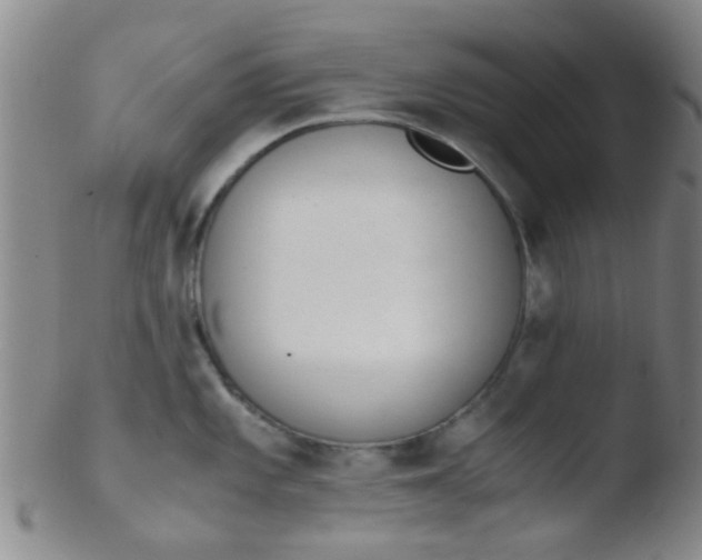 X0000103501101200809262008