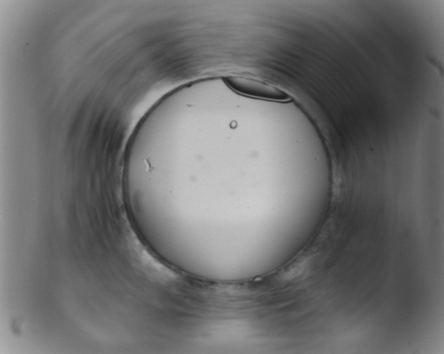 X0000103501102200809262008