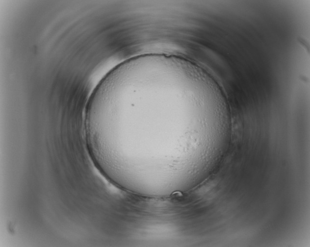 X0000103501103200809262008