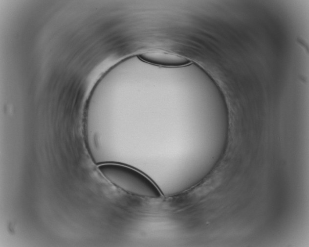 X0000103501104200809262008