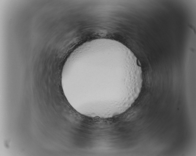 X0000103501105200809262007