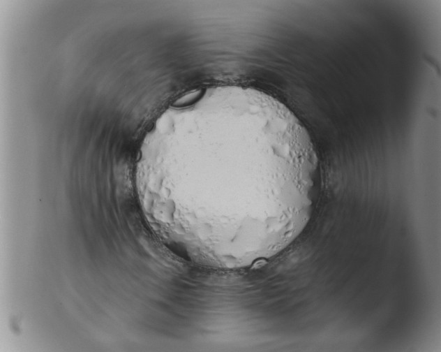 X0000103501106200809262007