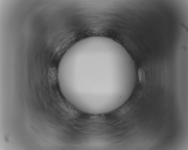 X0000103501107200809262007