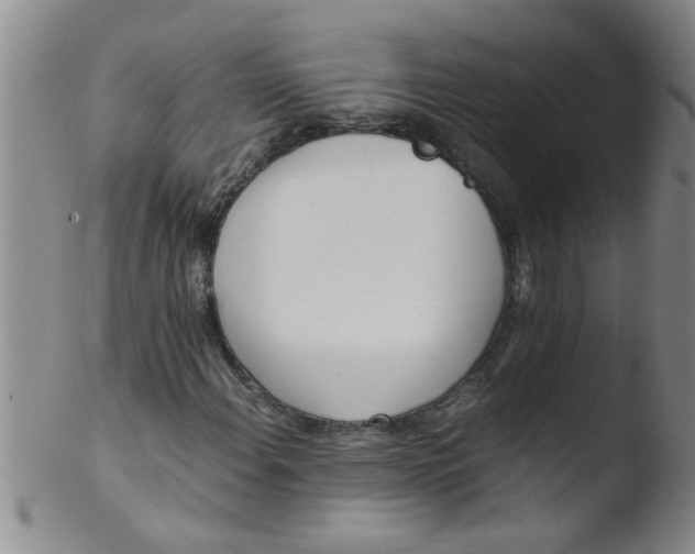 X0000103501108200809262007