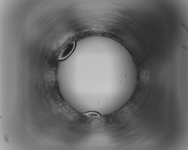 X0000103501110200809262007