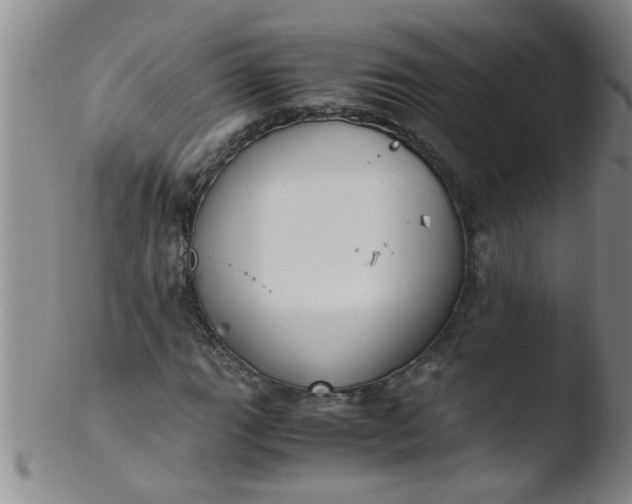 X0000103501111200809262007