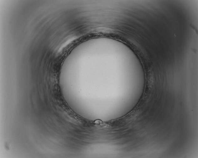 X0000103501112200809262007