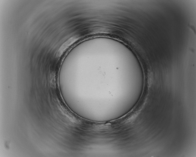 X0000103501113200809262007