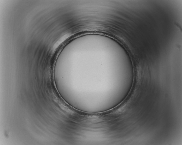 X0000103501114200809262007