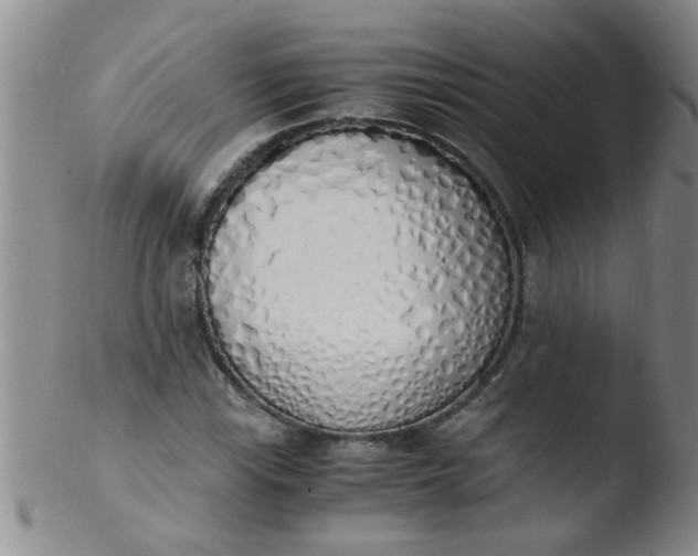 X0000103501115200809262007