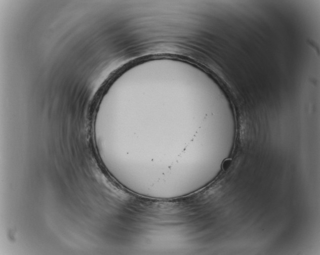 X0000103501116200809262007